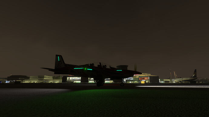 Microsoft Flight Simulator 2024_2026.06.29-21.54_1