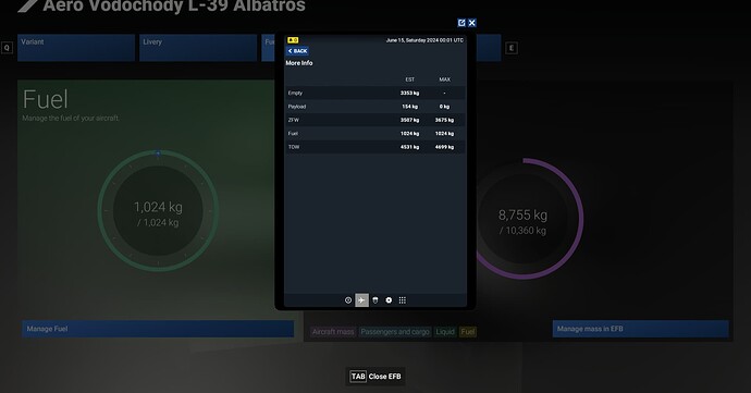 FlightSimulator2024 2025-05-23 00-28-12_233