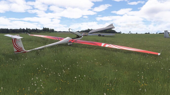 Diana open Canopy