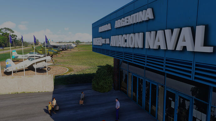 Microsoft Flight Simulator 2024 17_08_2026 00_41_06