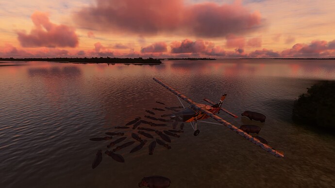 5dfc402e-6592-4ac0-945a-f9a7f9fbbbc6