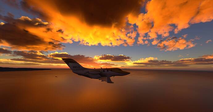 Microsoft Flight Simulator 2024 2_20_2026 12_21_59 AM