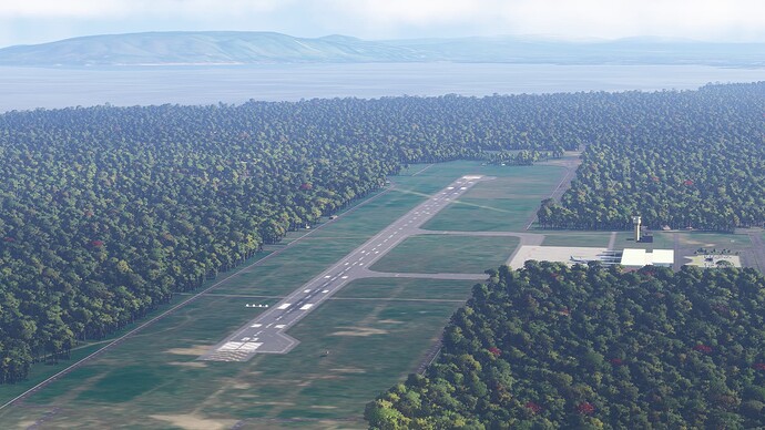 Microsoft Flight Simulator 2024 23_02_2025 7_31_51 am