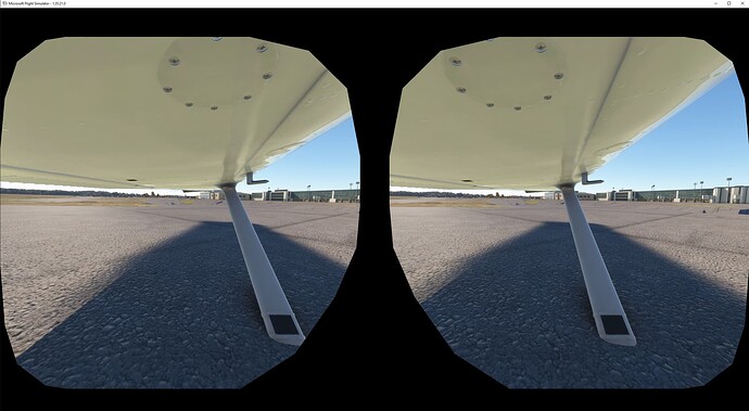 Microsoft Flight Simulator 12_5_2023 10_32_48 PM