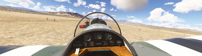 Microsoft Flight Simulator 2024 2_5_2026 10_39_54 PM