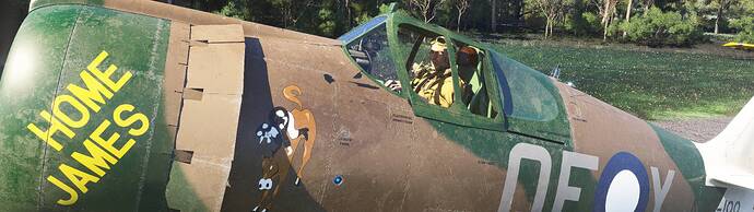 Microsoft Flight Simulator 2024 5_5_2026 11_38_53 AM_wide