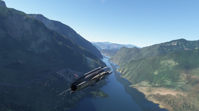 Microsoft Flight Simulator-2024_12_31-11-13-33
