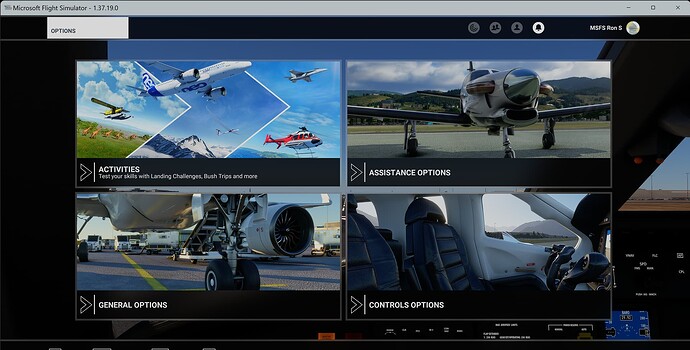 Microsoft Flight Simulator - Options