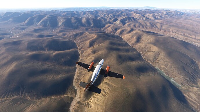 Microsoft Flight Simulator-2025_01_12-10-35-12