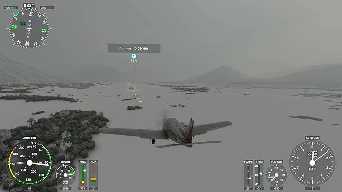 Microsoft Flight Simulator 6_14_2021 2_22_03 PM