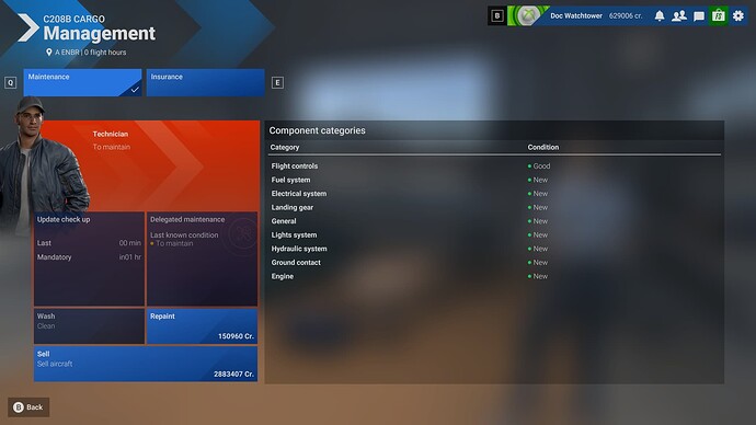 Microsoft Flight Simulator 2024 12_29_2024 9_57_52 AM