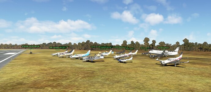 Microsoft Flight Simulator 27_01_2023 10_58_58 p.m.E