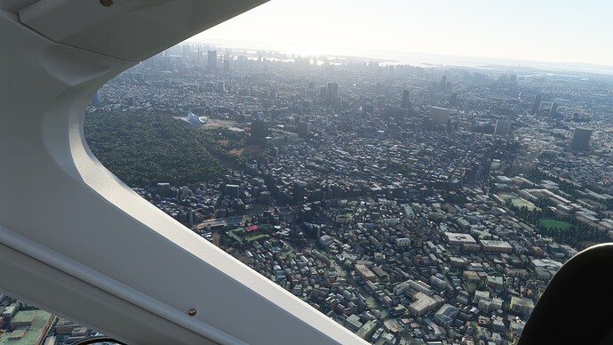 Microsoft Flight Simulator 10_30_2020 15_17_35