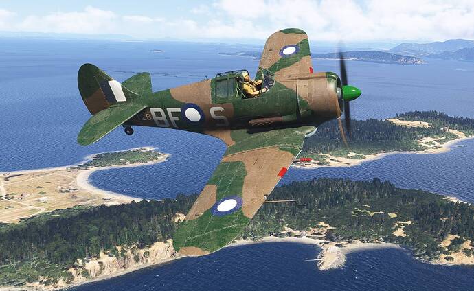Microsoft Flight Simulator 2024 5_5_2026 3_01_23 PM