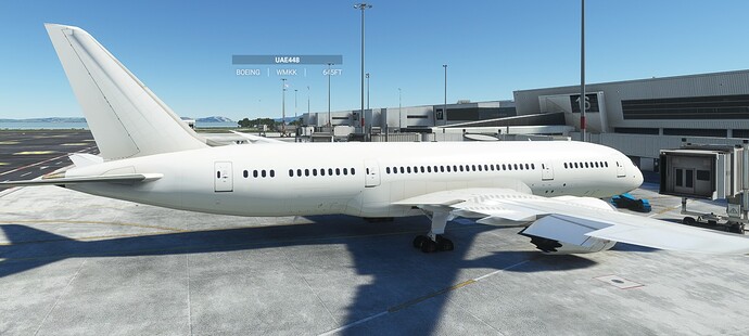 Air Canada 787