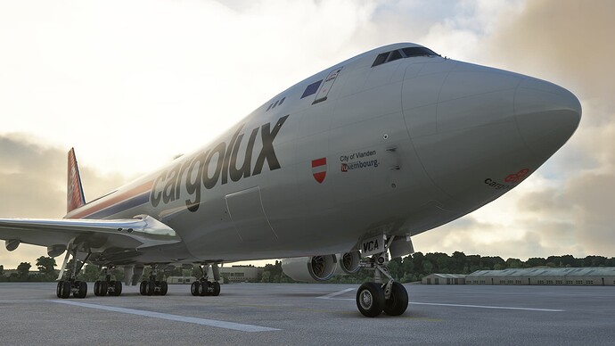 Microsoft Flight Simulator-2024_03_17-17_01_23