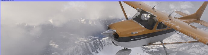 Microsoft Flight Simulator 2024 29_01_2025 21_54_40