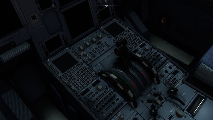 Microsoft Flight Simulator 24_01_2022 17_25_33