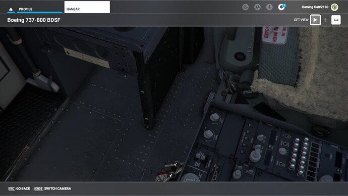 Microsoft Flight Simulator - 1.27.21.0 10_17_2022 6_30_19 PM