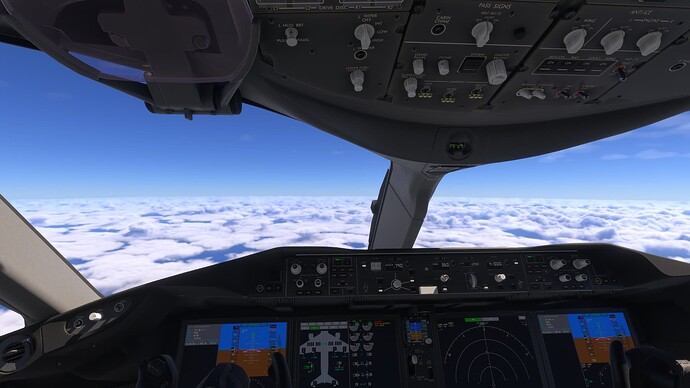 Microsoft Flight Simulator 2024 1_08_2025 8_24_03 PM