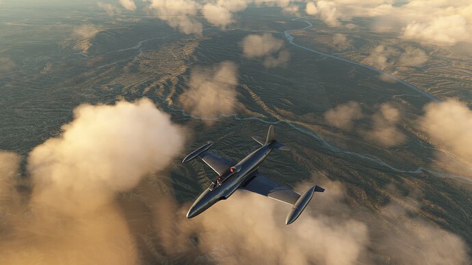 Microsoft Flight Simulator-2025_03_03-17-56-34