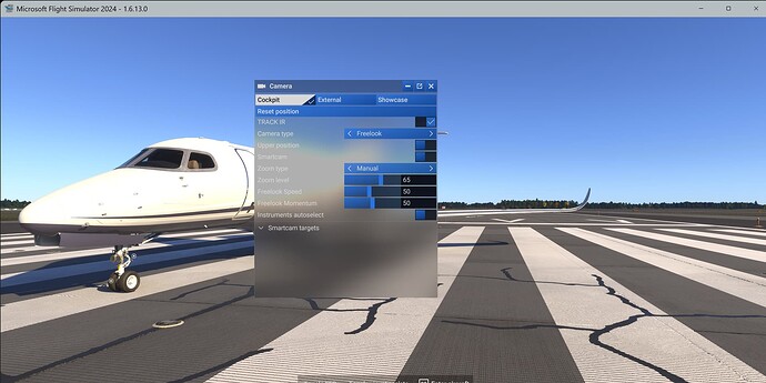 Microsoft Flight Simulator 2024 10_7_2025 3_45_02 PM