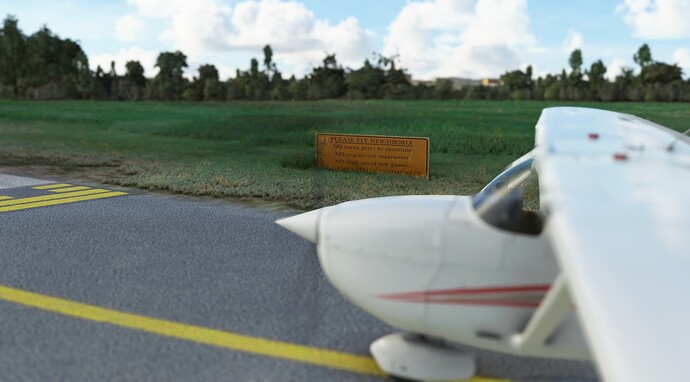 Microsoft Flight Simulator Screenshot 2021.12.04 - 18.15.23.14