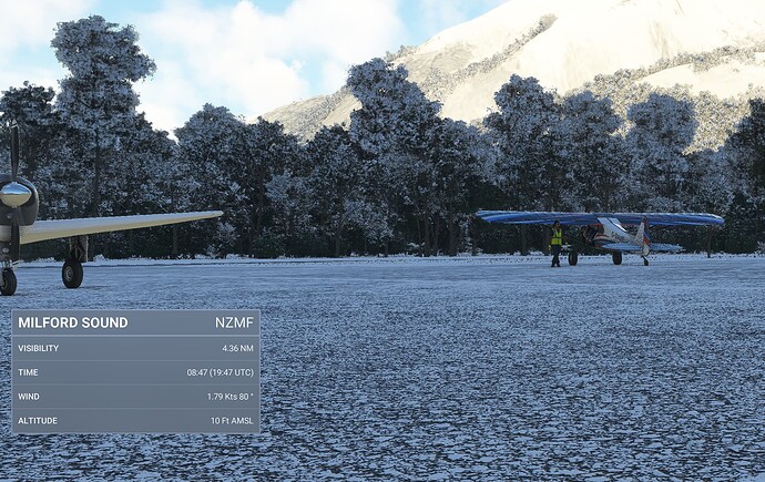 Microsoft Flight Simulator_2022.03.09-19.47