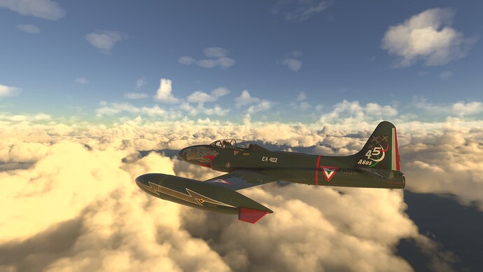 Microsoft Flight Simulator 2024-2025_06_21-10-47-28