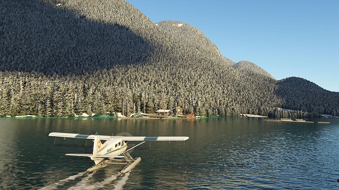 FS2020 2022-11-18 039