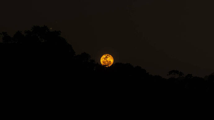 2025-04-26-13-42-09 - bloody moon