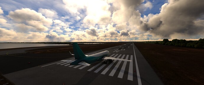 Microsoft Flight Simulator 27_05_2024 17_46_33