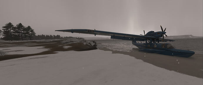 Microsoft Flight Simulator 2024 5_5_2026 3_20_43 PM