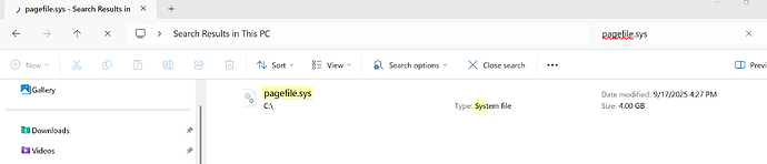 FS2024 - pagefile.sys