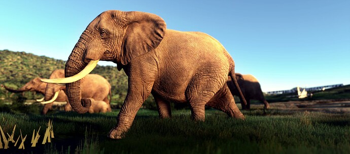 Microsoft Flight Simulator Screenshot 2023.08.17 - 23.40.13.92