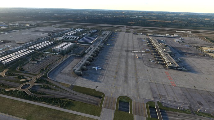 Microsoft Flight Simulator 2024-08-22 11_02_30 AM