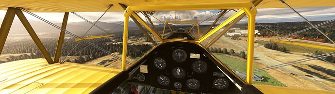 Microsoft Flight Simulator 1_19_2024 12_31_07 PM