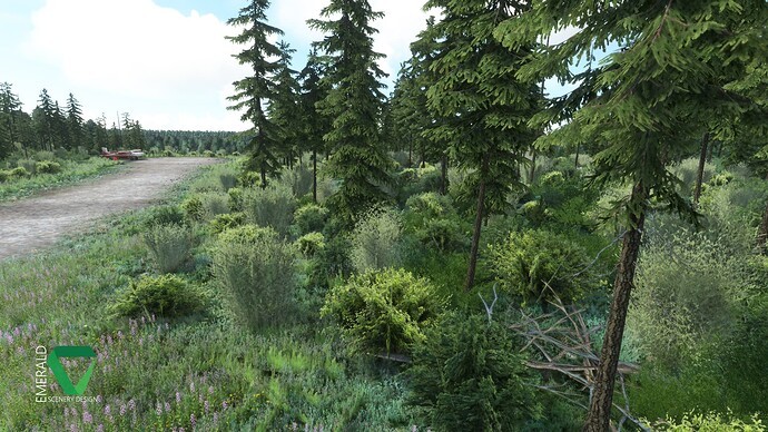 chunilna_cabin_strip_alaska_p4_3