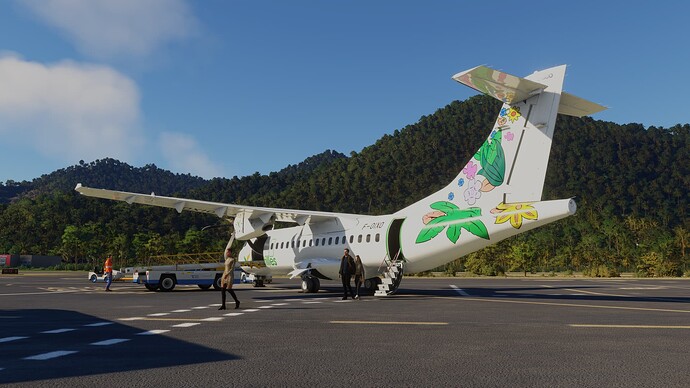 Microsoft Flight Simulator 13_04_2025 07_23_41