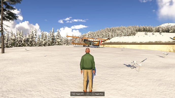 Bug - Curtiss Jenny Decal Texture (green)