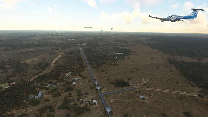 Microsoft Flight Simulator 3_5_2022 11_53_27 AM