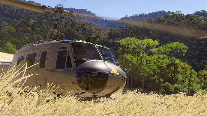 Microsoft Flight Simulator 2024-2026_01_31-23-13-57