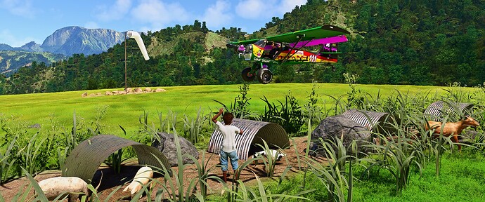 MSFS 2020 AYDN_003