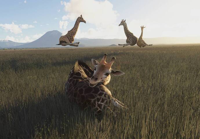 2026-01-18-18-28-44 bis