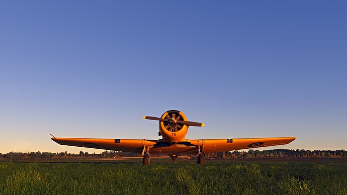 Microsoft Flight Simulator Screenshot 2022.08.20 - 21.01.30.45 2