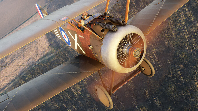 55123727405_27a2ba87f3_4k