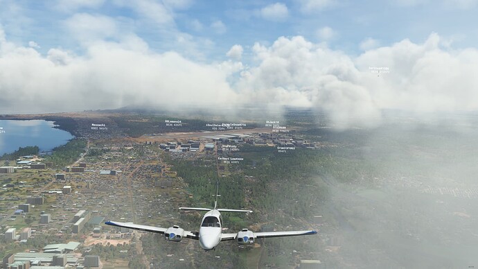 Microsoft Flight Simulator - 1.24.5.0 07.04.2022 22_47_08