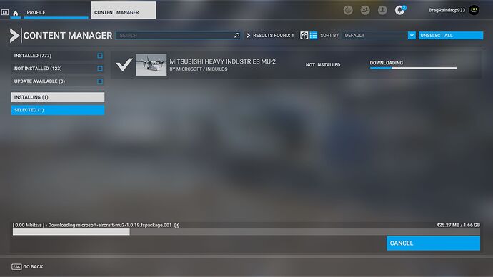 Microsoft Flight Simulator 25_12_2023 20_37_52
