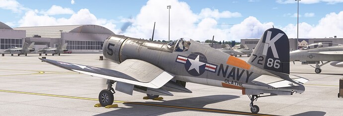 Microsoft Flight Simulator 2024 7_7_2025 12_11_35 PM