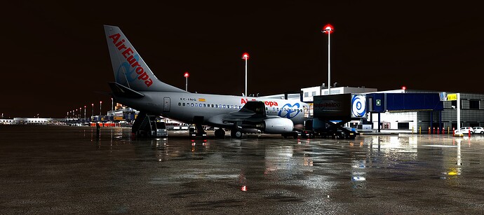 Microsoft Flight Simulator Screenshot 2022.07.31 - 00.49.04.38